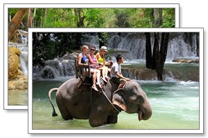 elephant camp laos toru