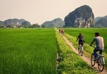 Eccentric Vietnam