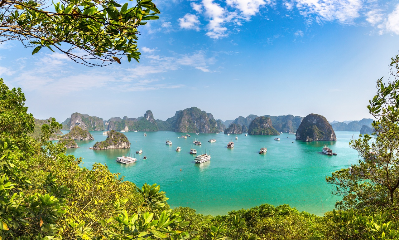Amazing Ha long bay Day Cruise from Bai chay port/ Cai lan port