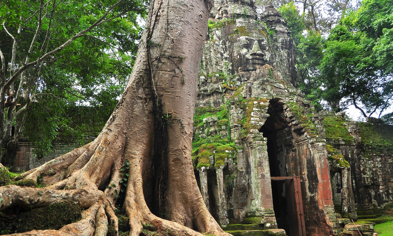 Cambodia Expedition