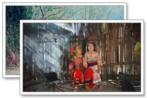 bac ha market