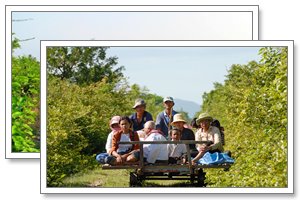 bamboo train tonkin travel