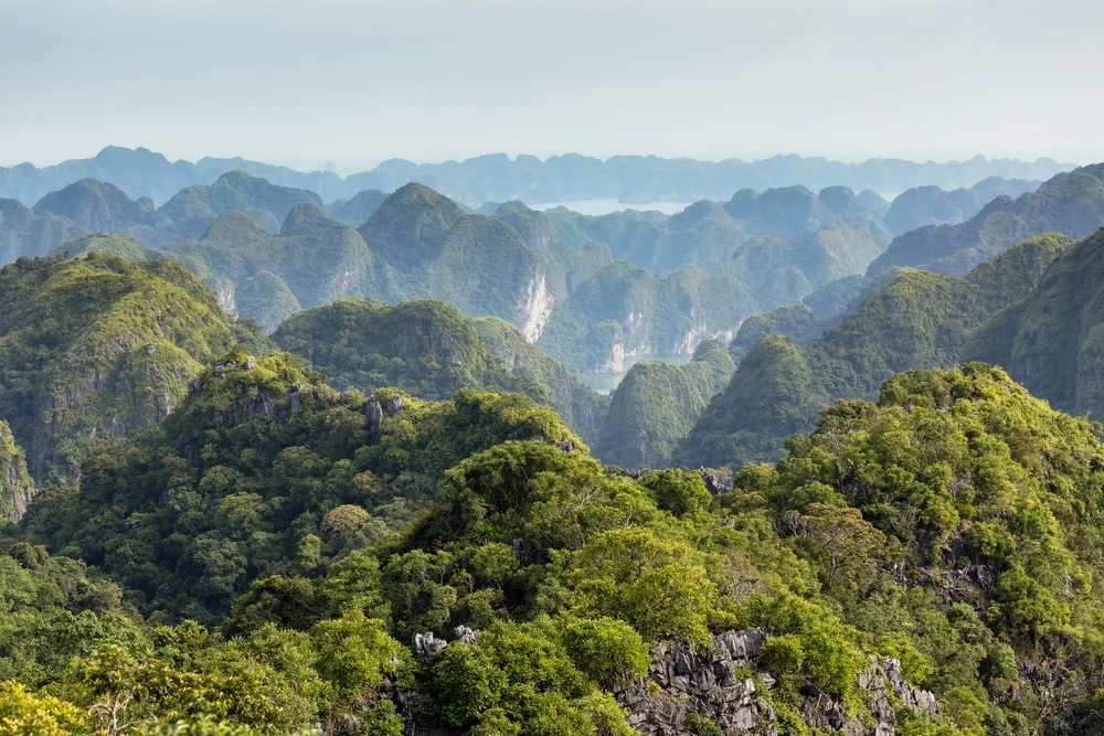 Forested limestone hills stretch into the distance on Cat Ba Island.