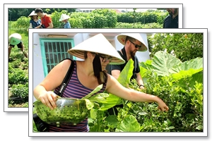 village of organic vegetables in Cu Chi