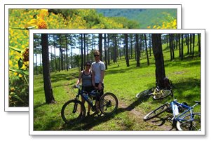 dalat tour honeymoon