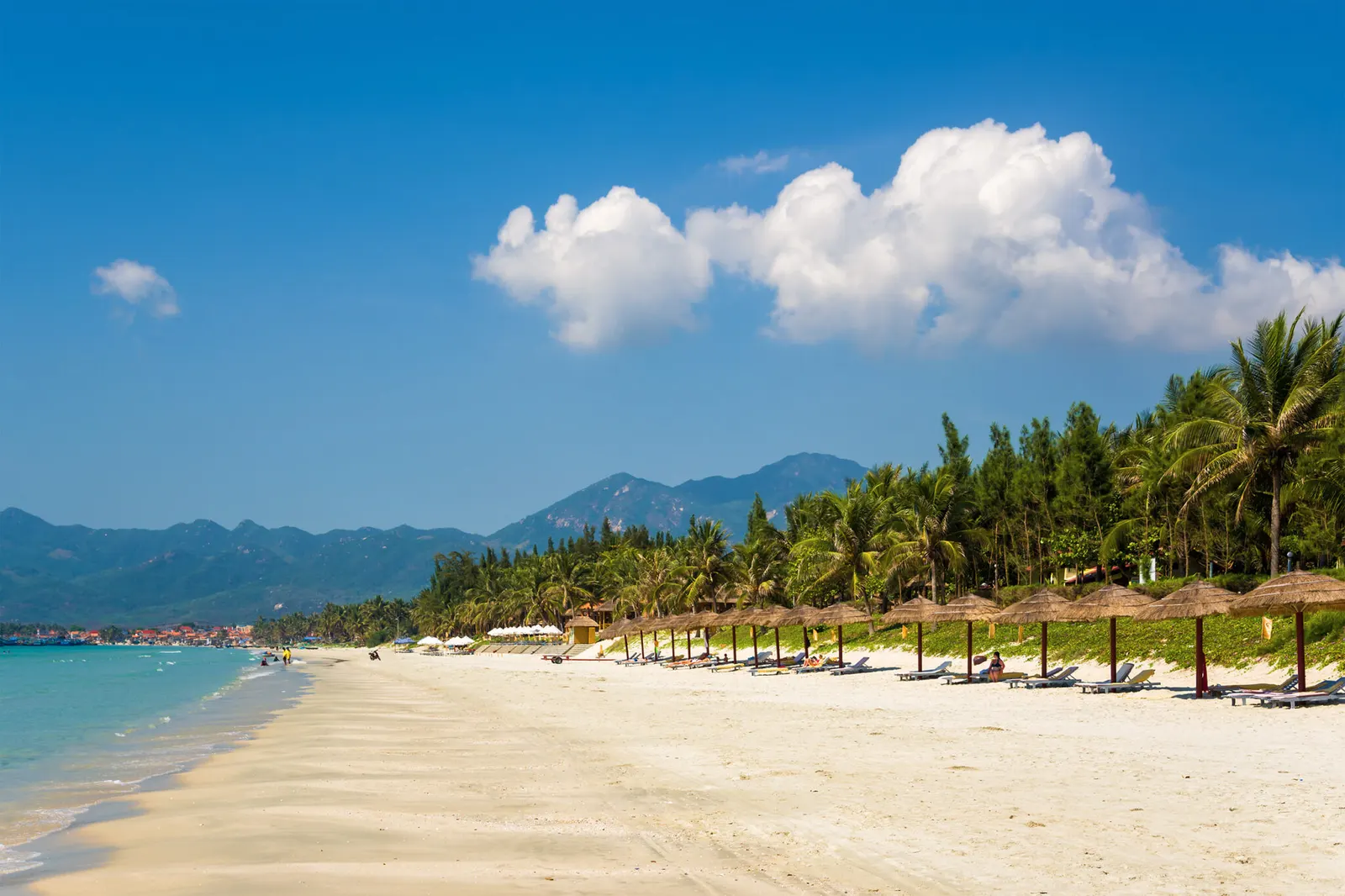 Thatched parasols and palms line a broad sandy beach beside blue water.