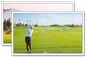 Montgomerie link