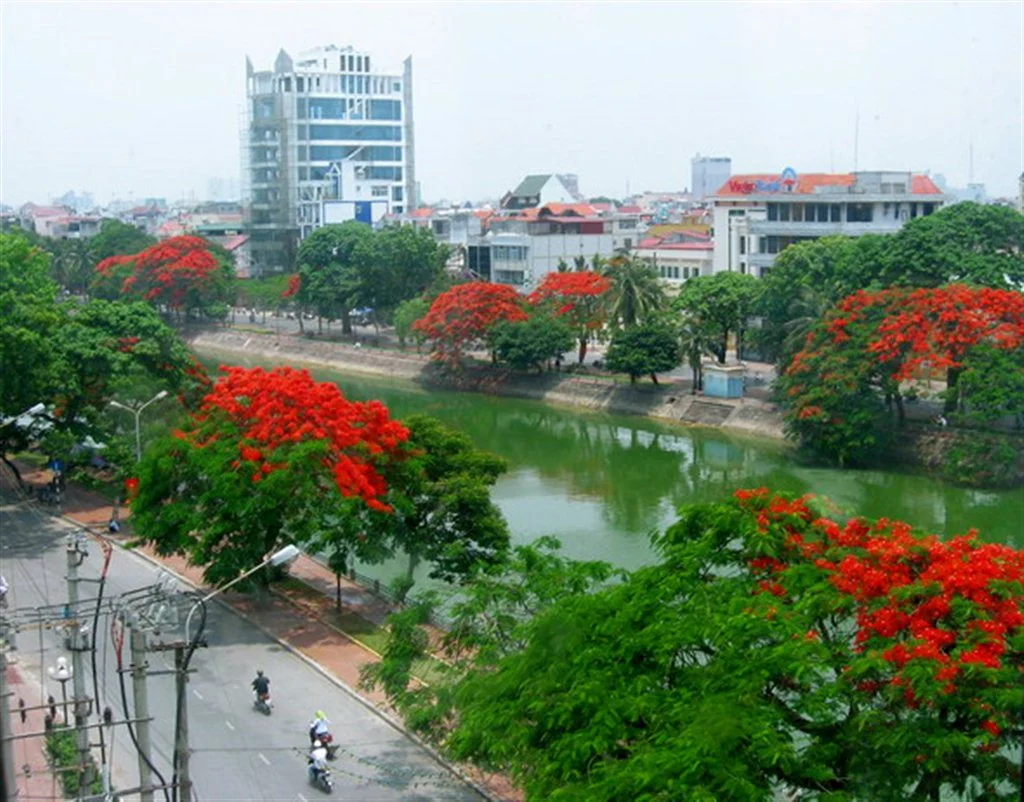 An elevated view of red-flowering trees, waterfront streets and buildings in Hai Phong.