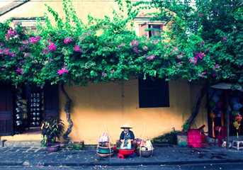 Taste of Vietnam