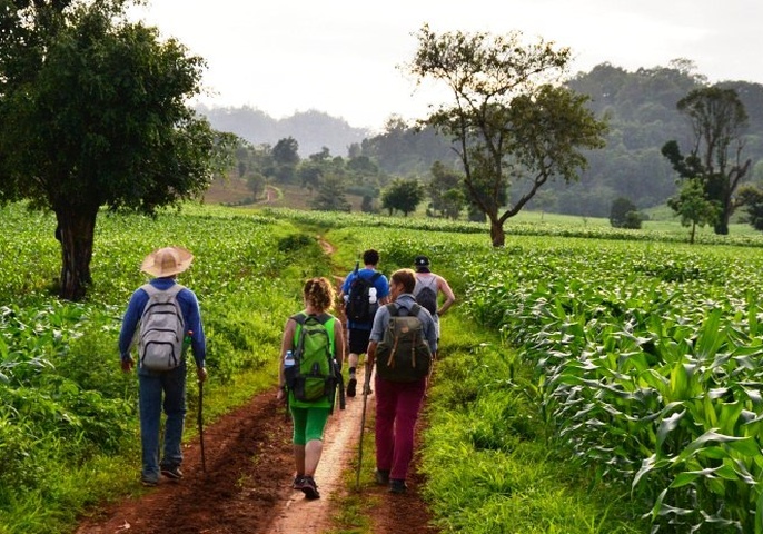 Temples & Hills Trek