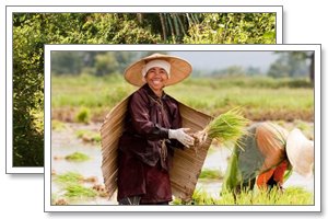 Keng Tung, myanmar tour, tonkin travel
