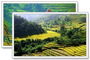 keng tung