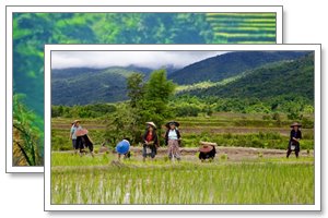 keng tung sightseeing