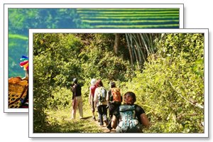 loimwe village trekking