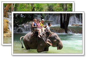 shangri lao