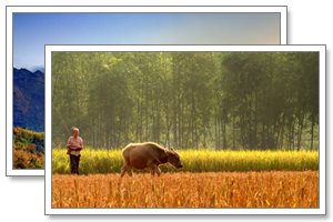 mai chau tours, tonkin travel