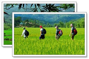 mai chau