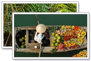 mekong cruise