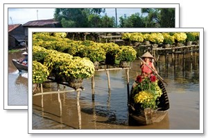mekong cruise
