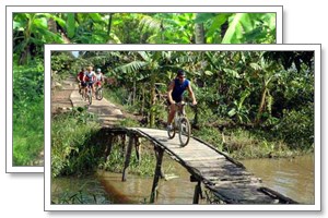 mekong delta
