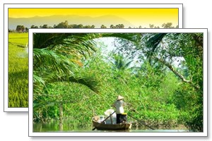 mekong delta