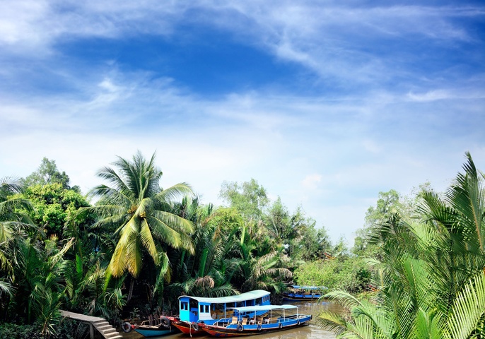 Mekong Delta Day Tour on Boat