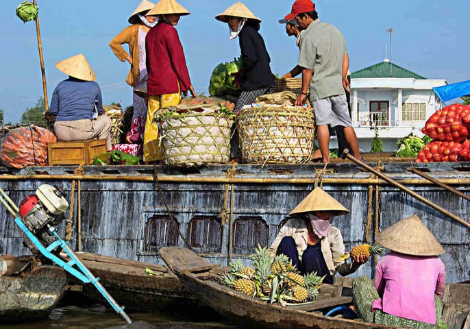 Mekong Delta Day Tour on Cruise