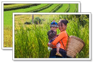 mu cang chai 2