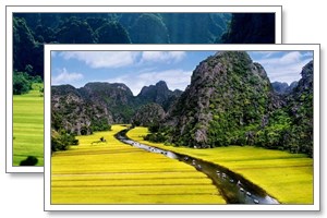 ninh binh tours