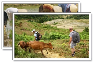 Pu Luong. Hikes/ Homestay