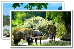 Pu Luong - Ninh Binh. Authentic Villages