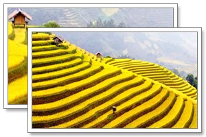 sapa day tours tonkin travel