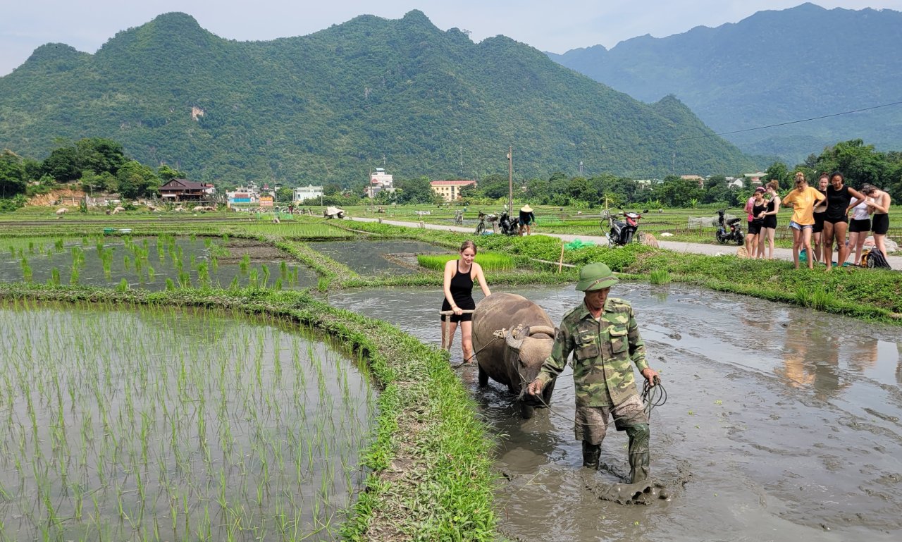 School Trip to Vietnam