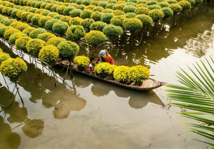 The Treasure of Mekong Delta