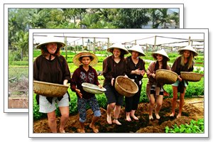 tra nhieu hoian tonkin travel