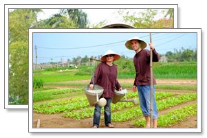 tra que tour hoi an for honeymoon