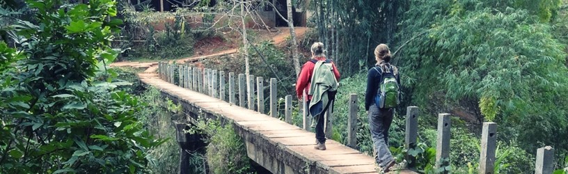 Eccentric Vietnam