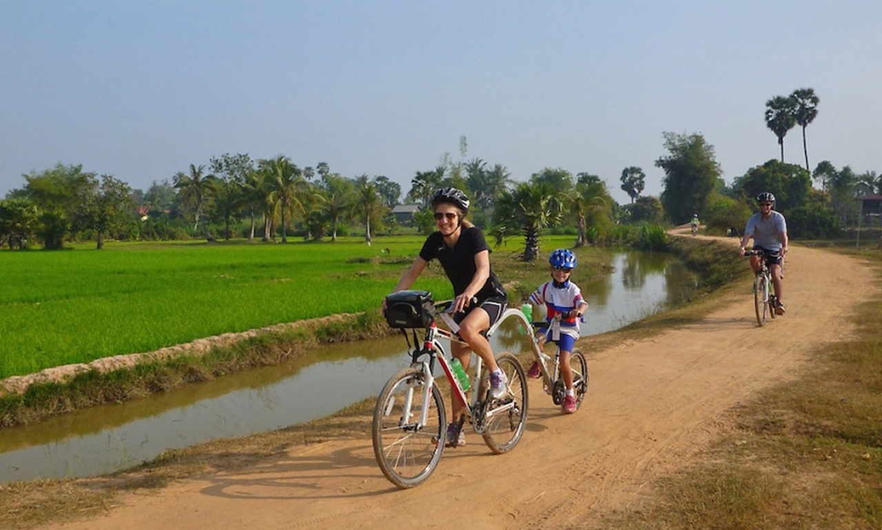 A family cycles along a path through lush green rice paddies
