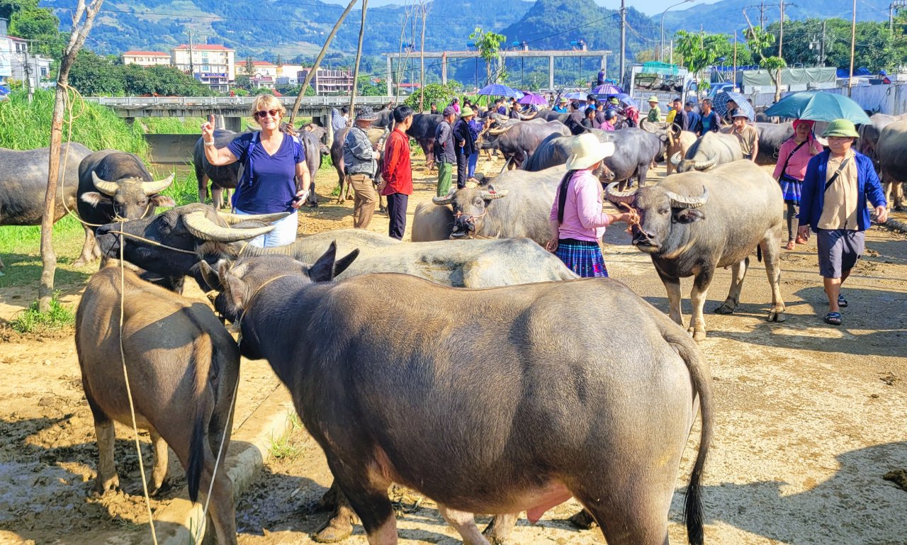 Vietnam Local Markets Tour