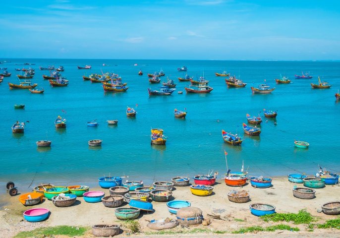 Vietnam Passion