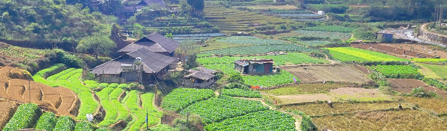 vietnam-family-tours-3