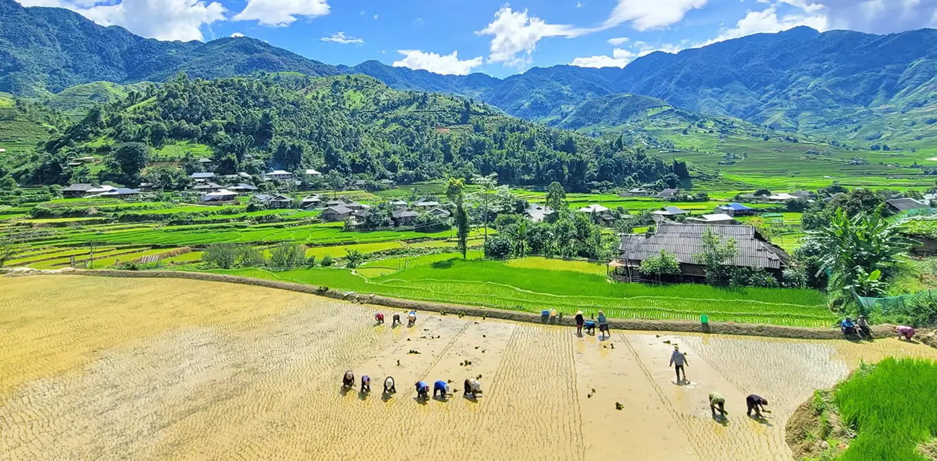 nghia-lo-vietnam-tours