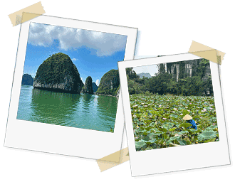 Thank you for the beautiful trip we made in Vietnam