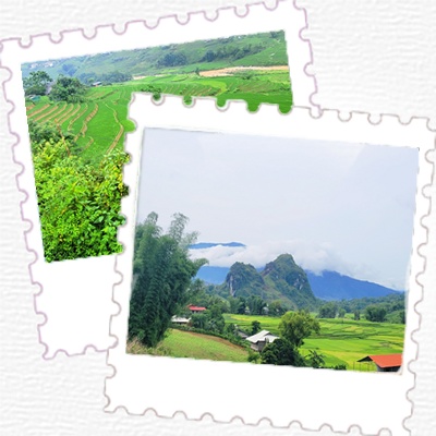 Bac ha into heart northern ethni vietnam