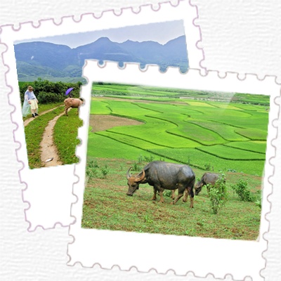 Bac ha giang immersion northern mountain vietnam
