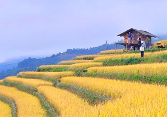 Vietnam Cultural Heritage & Wild Nature Trip