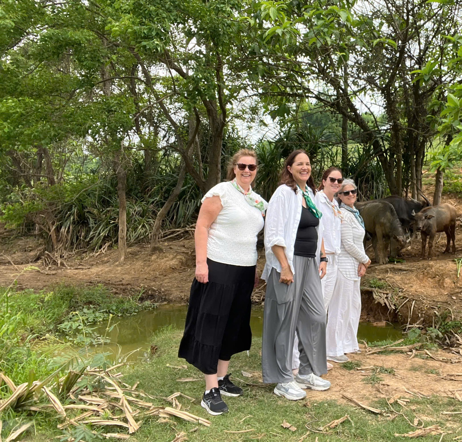 two weeks in vietnam